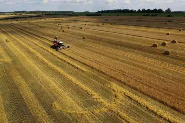 Производство продукции растениеводства в Беларуси